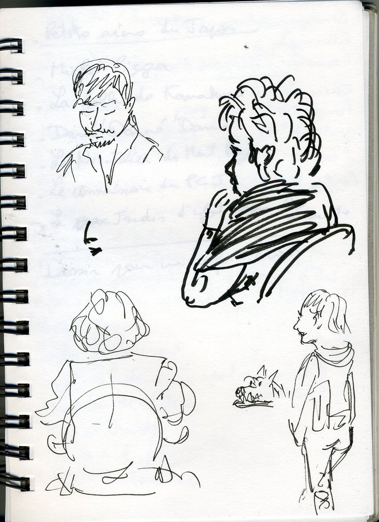 croquis debs