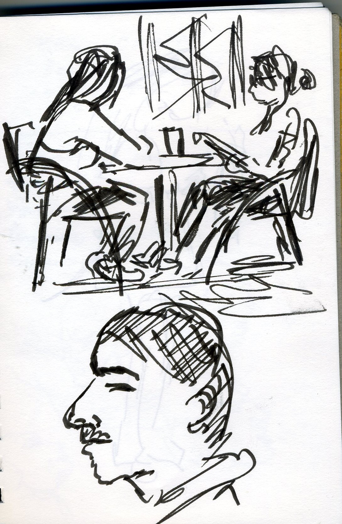 croquis debs